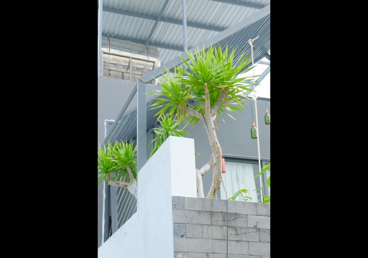Uri House, 1- 2 Bedroom Tourism Apt, 5' Walk Dragon Bridge Apartment