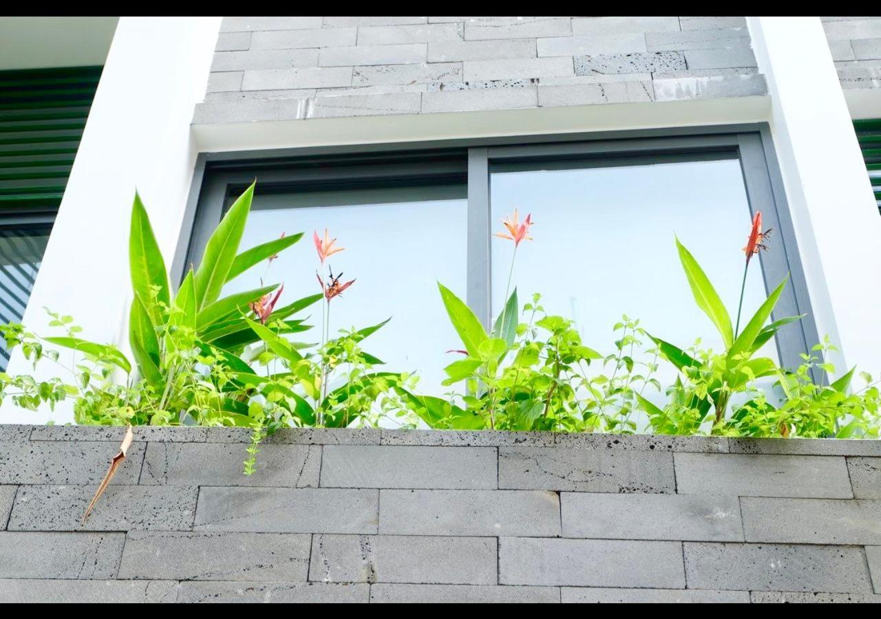 Uri House, 1- 2 Bedroom Tourism Apt, 5' Walk Dragon Bridge Apartment *
